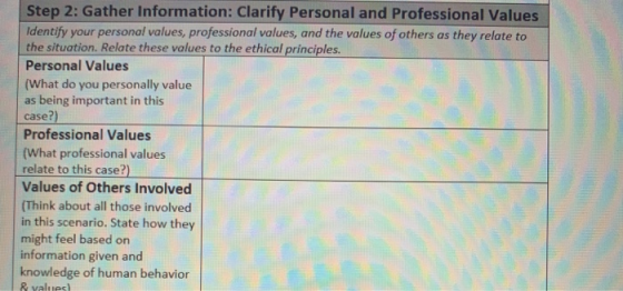 Step 2: Gather Information: Clarify Personal and Professional Values Identify your personal values, professional values, and