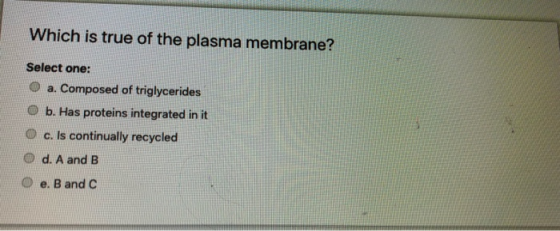 Which is true of the plasma membrane? Select one: O a. Composed of triglycerides b. Has proteins integrated in it O c. Is con