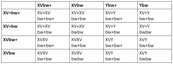 Ybw+ XV+bw+ XVbw+ XV+XV bw+bw+ XV+XV bw+bw XV+Y bw+bw+ Ybw XV+Y bw+bw XV+bw XVbw XV+XV bw+bw XV+XV | bwbw XVXV bw+bw XV+Y bw+