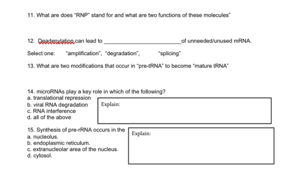11 What Are Does RNP Stand For And What Are Two Functions Of These 