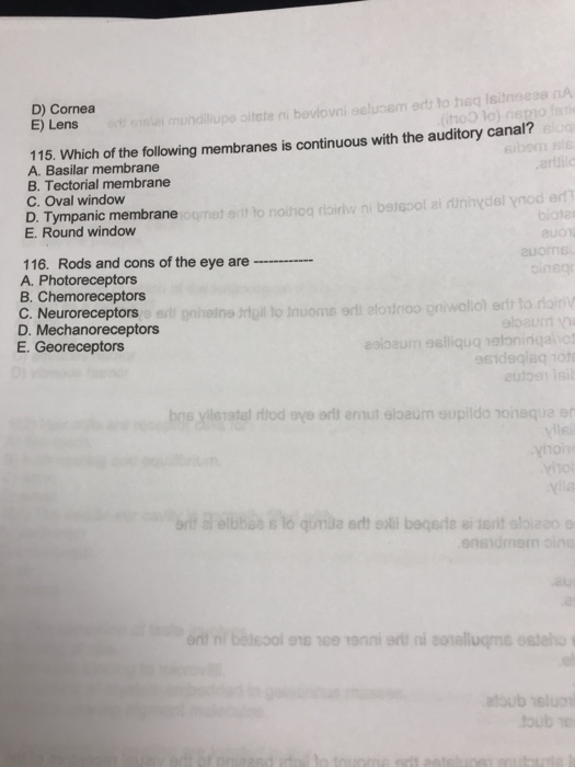 D) Cornea E) Lens 115. Which of the following membranes is continuous with the auditory canal? A. Basilar membrane B. Tectorial membrane C. Oval window D. Tympanic membrane E. Round window 116. Rods and cons of the eye are A. Photoreceptors B. Chemoreceptors C. Neuroreceptors D. Mechanoreceptors E. Georeceptors n eslliqua