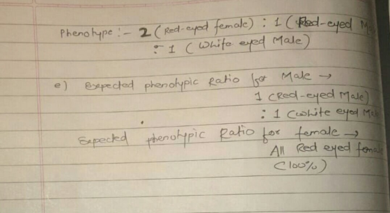 Phenotype : - 2 (Red-cuod female) : 1 (Red-eyed mo I (White eyed Male) e) Expected phenotypic Ratio - for Male > 1 cred-eyed
