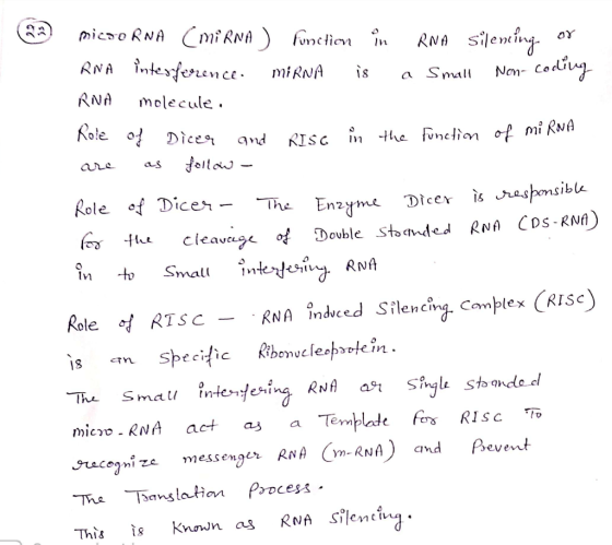 microRNA (miRNA ) function in RNA silencing or RNA interference. MiRNA is a small Non-coding RNA molecule. Role of Dicer and