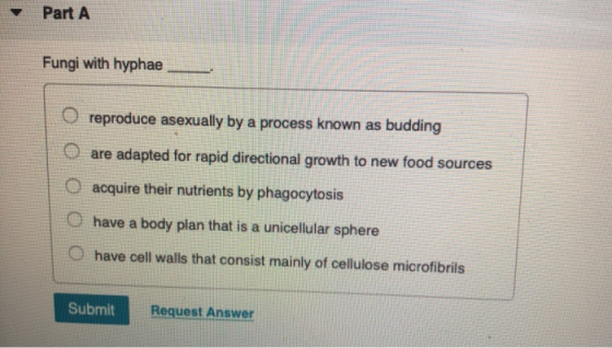 Part A Fungi with hyphae o reproduce asexually by a process known as budding are adapted for rapid directional growth to new