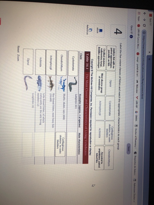 Quiz 17 appendages of Inc (24,600) s 12) Dipnol Reset Zoom