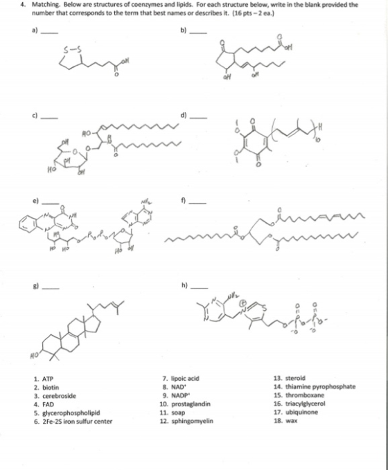 4. Matching. Below are structures of coenzymes and lipids. For each structure below, write in the blank provided the number t