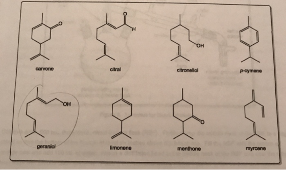 carvone citral citronellol alex geraniol limonene menthone