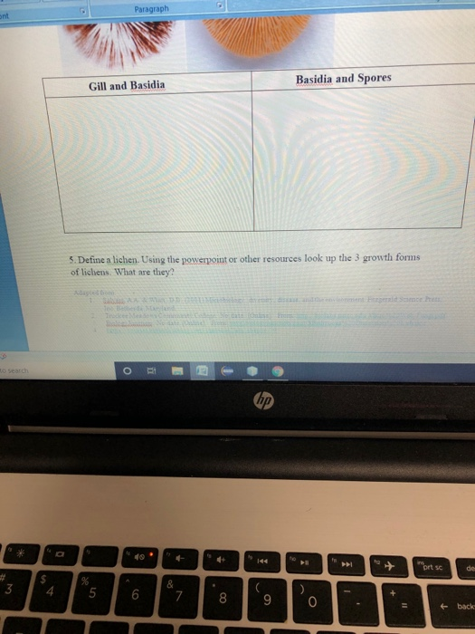 Paragraph Gill and Basidia Basidia and Spores 5. Define a lichen. Using the powerpoint or other resources look up the 3 growt