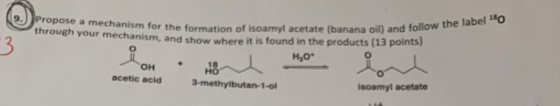 oil) and follow the label 180 9. rropose a mechanism for the formation of isoamyl acetate (banana oul and through your mechan