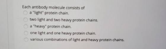 Each antibody molecule consists of a light protein chain. two light and two heavy protein chains. a heavy protein chain.