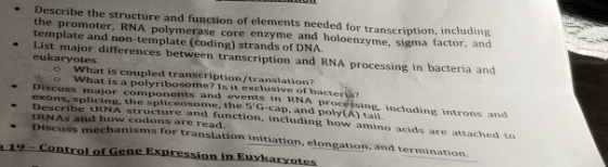 Describe the structure and function of elements needed for transcription, including the promoter, RNA polymerase core enzyme