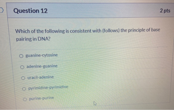 Question 12 2 pts Which of the following is consistent with (follows) the principle of base pairing in DNA? O guanine-cytosin