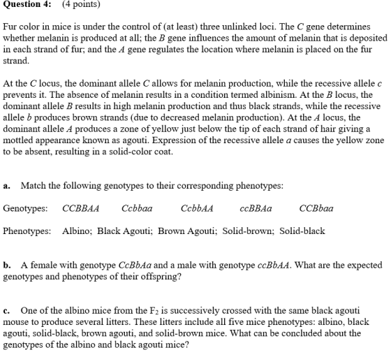 Question 4: (4 points) Fur color in mice is under the control of at least) three unlinked loci. The C gene determines whether