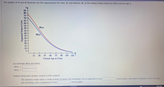 The graphs of Mand Willustrate the life expectancies for men, M. and women, w, in the United States based on their current ag