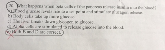 20. What happens when beta cells of the pancreas release insulin into the blood? glucose levels rise to a set point and stimulate glucagon release. b) Body cells take up more glucose. c) The liver breaks down glycogen to glucose. d) Alpha cells are stimulated to release glucose into the blood óth B and D are correct.
