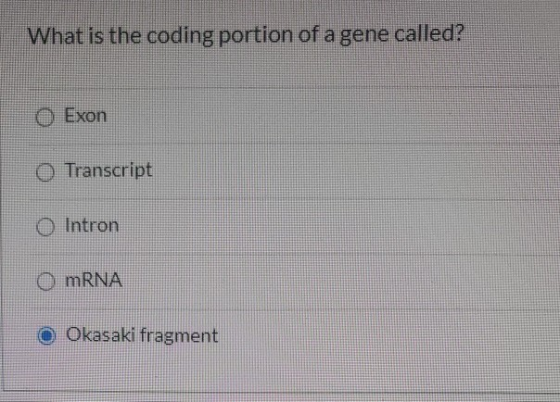 What is the coding portion of a gene called? O Exon O Transcript Intron mRNA Okasaki fragment