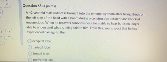 Question 65 (4 points) A 42 year old male patient is brought into the emergency room after being struck on the left side of t