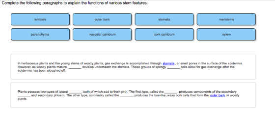 Image for Complete the following paragraphs to explain the functions of various stem features. In herbaceous planta and