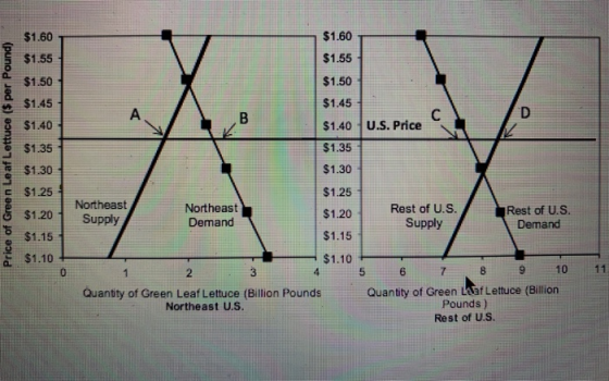 $1.60 $1.55 $1.50 $1.45 $1.40 $1.35 $1.30 Price of Green Leaf Lettuce ($ per Pound) $1.60 $1.55 $1.50 $1.45 $1.40 $1.35 U.S.