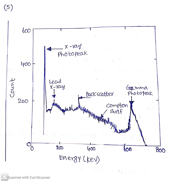 600 - X-ray Photo Peak 400+ count Lead X-ray Gramma Photo peak 6 Backscatter n compton ? . Shelf Oo 200 400 Energy (kev) too