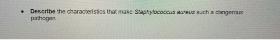 Describe the characteristics that make Staphylococcus aureus such a dangerous pathogen