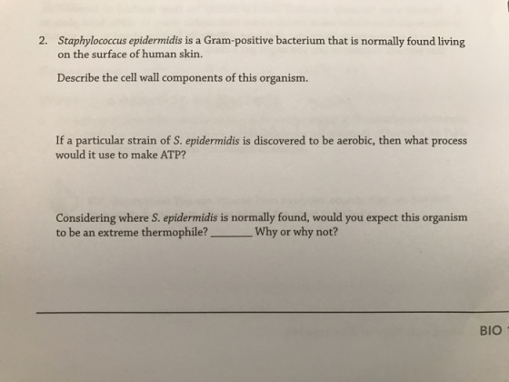 Staphylococcus epidermidis is a Gram-positive bact