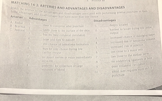 R. WILHOUL dll MATCHING 14-2: ARTERIES AND ADVANTAGES Match the arteries to the advantages and disad Some advantages and disa