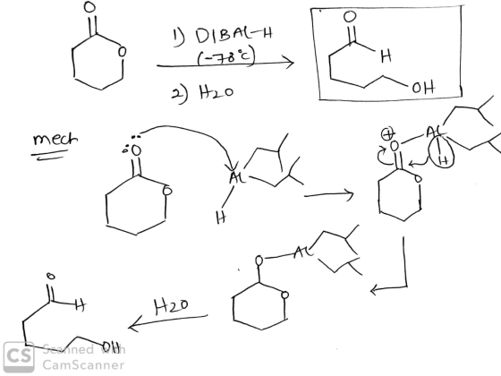 1) DIBALH (-70c) 2) H₂O mech H20 CS CamScal Searned outh CamScanner
