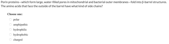 Porin proteins-which form large, water-filled pores in mitochondrial and bacterial outer membranes-fold into B-barrel structu