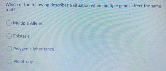 Which of the following describes a situation when multiple genes affect the same trait? Multiple Alleles Epistasis Polygenic