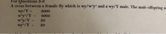 For Questions 3-6 A cross between a female fly which is wy/wty+ and a wy/Y male. The male offspring an wy/Y - 3000 wty/Y - 29