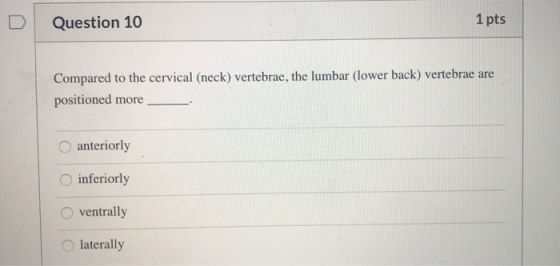 Question 10 1 pts Compared to the cervical (neck) vertebrae, the lumbar (lower back) vertebrae are positioned more anteriorly