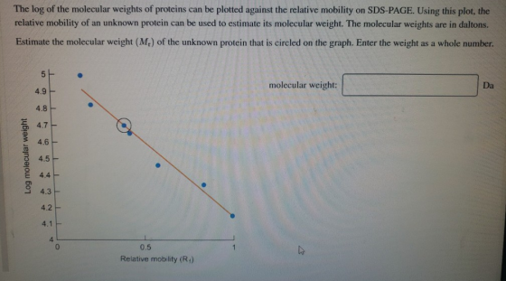 The log of the molecular weights of proteins can be plotted against the relative mobility on SDS-PAGE. Using this plot, the r