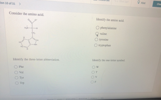 JUULES ion 10 of 31 > Hint Cher Consider the amino acid. Identify the amino acid. O phenylalanine valine O tyrosine tryptopha