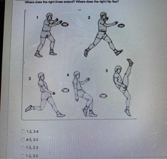 Where does the right Knee extend? Where does the right Hip flex? 1-2, 3-4 4.5, 3-5 1.5, 2-3 1.2.3.5