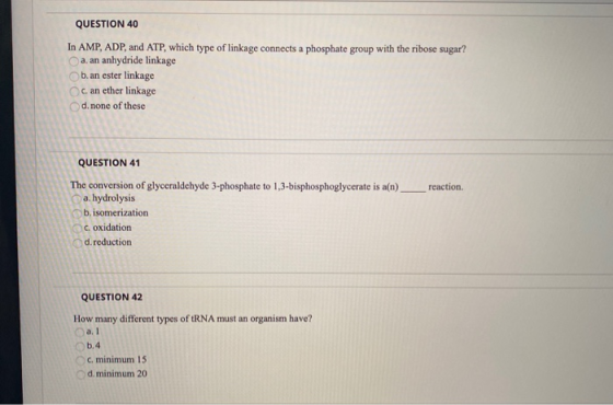 QUESTION 40 In AMP, ADP, and ATP, which type of linkage connects a phosphate group with the ribose sugar? a. an anhydride lin
