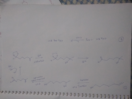 999999 III 323 IIIIIIIIIII31011111111 Hge Acq H2O OH P.CC hyeon pyridine chlore chromate Ho CH3mg Br CH3 Br CH3 mg Br ting -