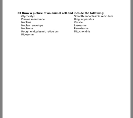 03 Draw a picture of an animal cell and include the following: Glycocalyx Plasma membrane Nucleus Nuclear envelope Nucleolus