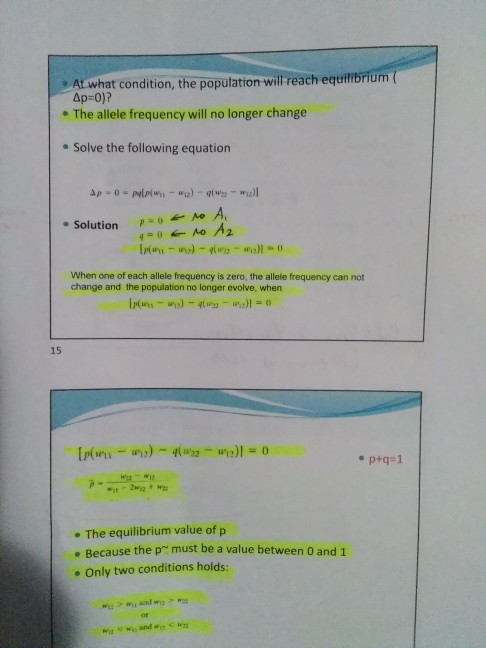 At what condition, the population will reach equilibrium Ap=0)? • The allele frequency will no longer change • Solve the foll