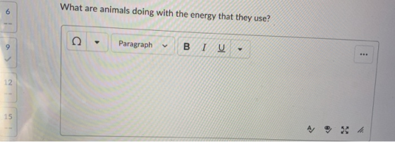 What are animals doing with the energy that they use? - Paragraph B IU 15 A 3