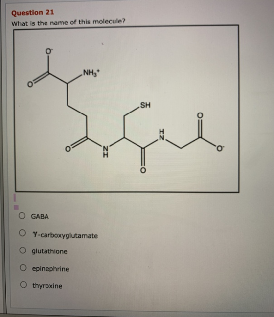 Question 21 What is the name of this molecule? NH3 SH IZ IZ O GABA O Y-carboxyglutamate glutathione O epinephrine Othyroxine