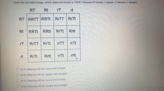 Given the provided image, which statement below is TRUE? Assume R-round, square, T=twisted, t-straight. RT Rt IT it RT RRTT R