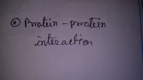 o Protein -protein interaction