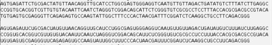 AGTGAGATTCTGCGACTATGTTAACAGGTTG CATCCTGGCGAGTGGGAGGTCAATGTTGTTAGACTGATATGTCTTTATCTTGAGGC CCGGTG CACGGTCGTTGTGTACAATTCAAT CTAG