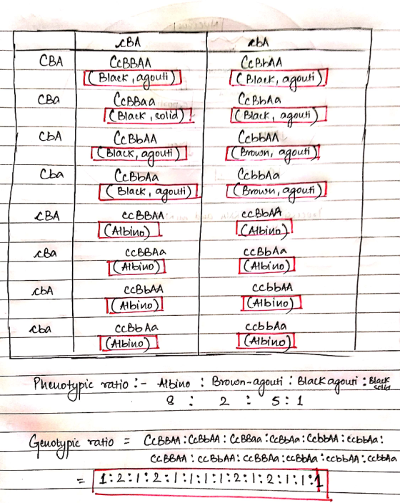 СВА aba СВА сва СЬA cba СсВРАЛ Black, agouti) ССРВАЛ TC Black, colid 17 Сс ВЬАА (Васк, одрин), СсыАл T Black, agouti) II сс В
