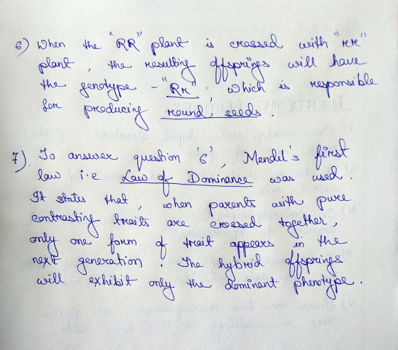 6) When plant the Lore the RR plant is creassed with rere , the resulting offsprings will have genotype -Rr which is res