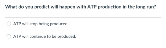 What do you predict will happen with ATP production in the long run? ATP will stop being produced. ATP will continue to be produced.