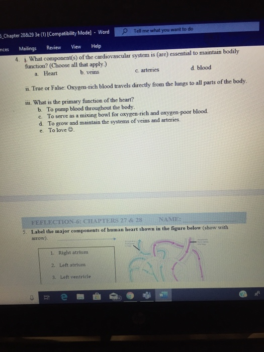 5. Chapter 28:29 3e (1) Compatibility Mode] - Word Tell me what you want to do mces Mailings Review View Help 4. i What compo