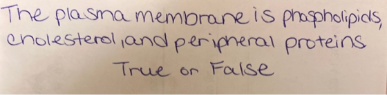 The plasma membrane is phospholipids, cholesterol, and peripheral proteins True or False