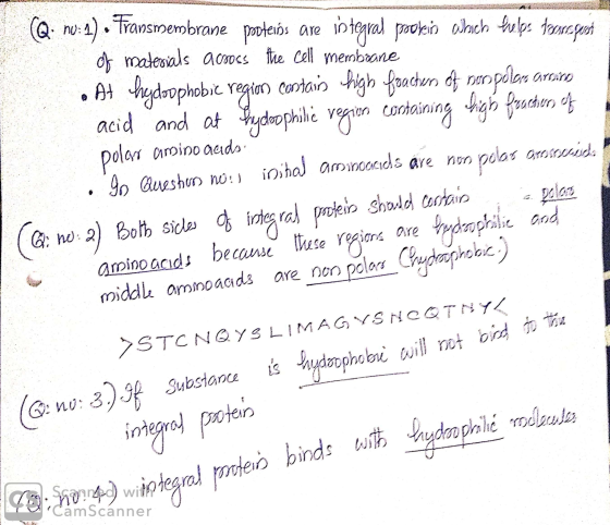(Q: nu: 1). Transmembrane pooteins are integral proobin which helps damagandi of materials across the cell membrane At hydoop